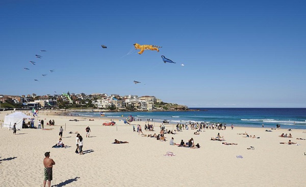Tour of the week: Sydney Half Day Tour with Bondi Beach