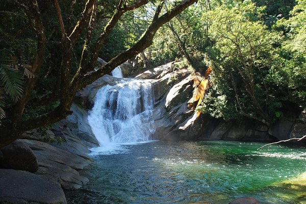 Tour of the Week - 2 Day Daintree Rainforest Tour