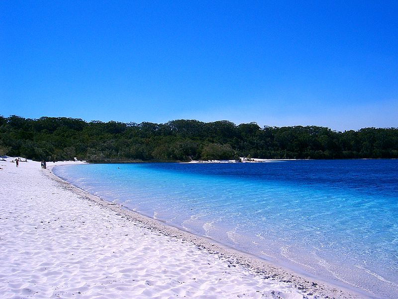 Tour of the week: 1 Day Fraser Island Tour