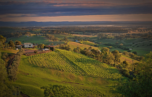 Tour of the Week: Hunter Valley Wine Tours $120