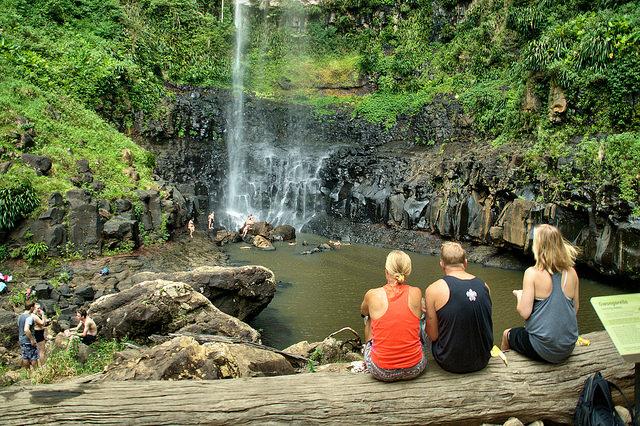 Tour of the Week: Hinterland and Springbrook National Park Tour
